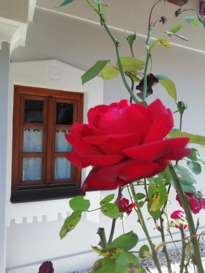 Aracsi Vendeghaz Hotel Balatonfured Exterior photo